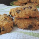 Coconut Flour Chocolate Chip Cookies