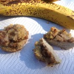 Cinnamon Banana Breakfast Bites