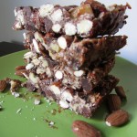 Nutty Chocolate Coconut Bars