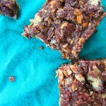 No Bake Cocoa Cranberry Bars